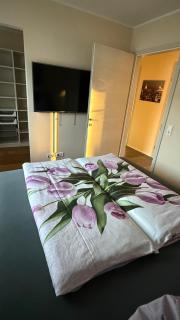 OMG Obermösingergut Christkindl - 2