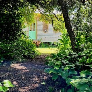 Cabaña entre molles - 0