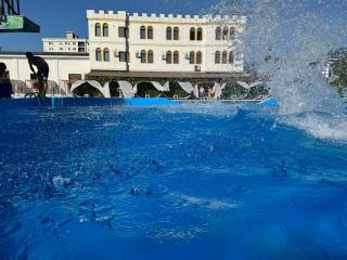 TEA Prizren Hotel - 5