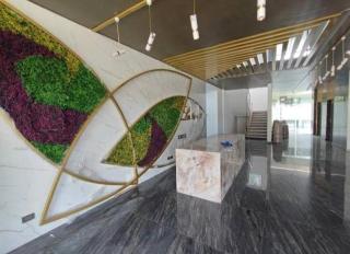 Respiro verde, Oasis de tranquilidad - 2