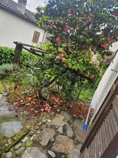 Bella Fosano by Fewotessin - 9