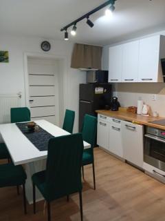 ARONIA s terasou & parking free - 7