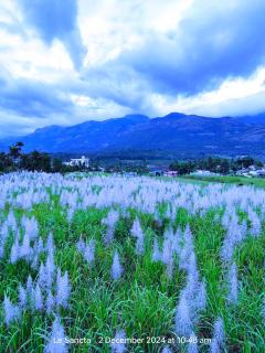 Le Sancta homestay - 9