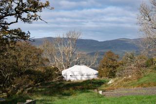 Finest Retreats - Pandy Traditional Yurt - 3