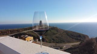 Castillo De Lagos - 9