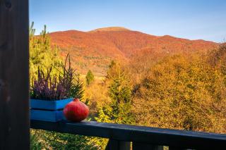Bieszczadzki Domek z widokiem na połoniny - 0