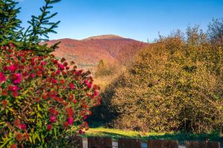 Bieszczadzki Domek z widokiem na połoniny - 2