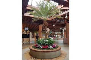 Home 49 I Apto pé na areia e piscina aquecida em Bertioga - 9