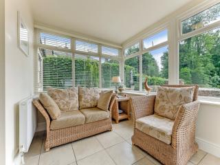 Fox Cover - Uk49892 - 8