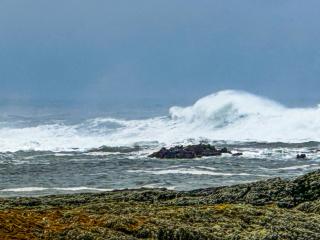 Burnside Cottage - 1