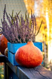 Bieszczadzki Domek z widokiem na połoniny - 9