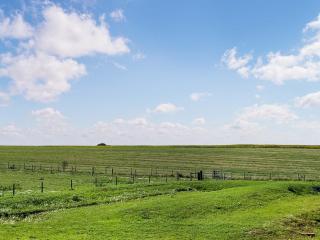 Raygill Shepherds Hut - 5