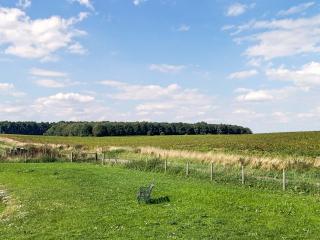 Raygill Shepherds Hut - 4
