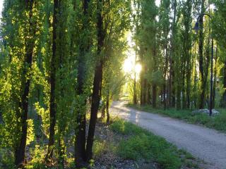Los Abedules Bungalow - homestay - 1
