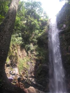 Chacara Girassol - 6