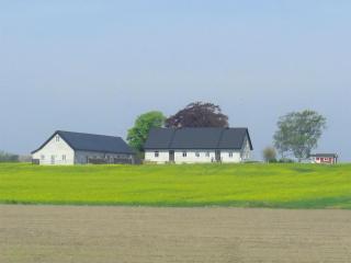 Lovely Home In Löderup With 1 Bedrooms And Wifi - 2