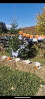 La Cabane Râșnov - 7