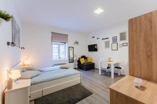 Flex SelfCheckIns 132 - Zagreb - Studio Apartman - Centar - 0