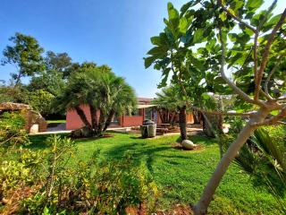 Residence with swimming pool a few minutes from Alghero - 6