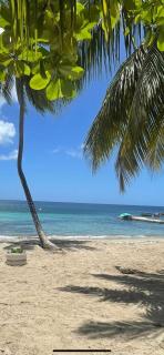 le TI-ANOLIS tartane martinique - 9