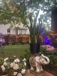 Tree House 6 bedrooms, 2 blocks from everything - Cuyahoga Falls - 4