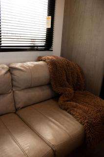 Tranquil Trailside Stay - 6