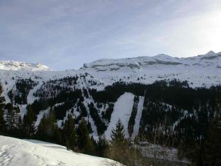 Studio Cabine 5p Résidence Sagittaire, Flaine Forêt, Proche Pistes et Commerces - FR-1-687-9 - 4