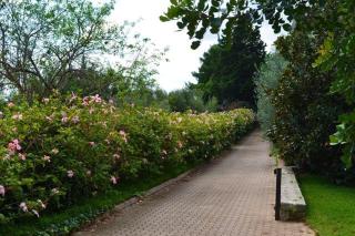 Eurialo Green Suites - Belvedere - 2