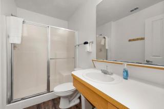 4BD 2 MI to USF Free Pool + 24 Hour Gym - 3