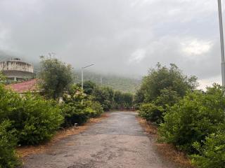 Sariska Bliss Farm, #2-BHK - 2