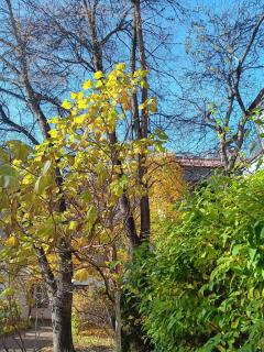 Maki Art Studio Kraków - 2