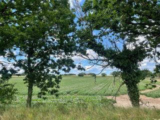 Iris Family Retreat 8-BR & Private Parking - 6