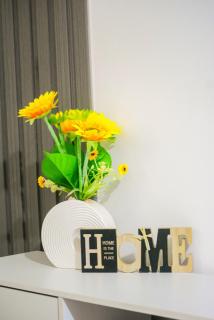 Tu rincon Caribeño - 6