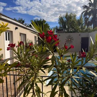 Quincho Los Abuelos - 8