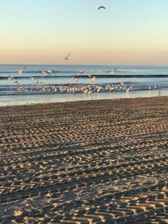 Backside sea appartement - 5