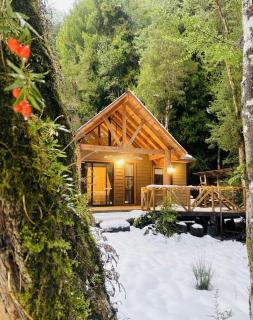 Cabañas Alto del Bosque - 1