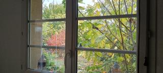 Gîte à la ferme - 4