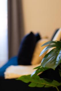 Élégance & confort - aux portes de Paris - 5