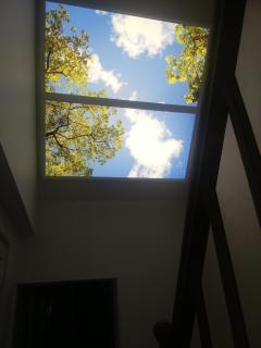 La Suite Granville - 6