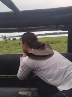 Sigiriya Lions Rest Hostel - 1