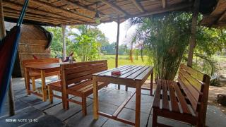 Rambo homestay hampi - 3