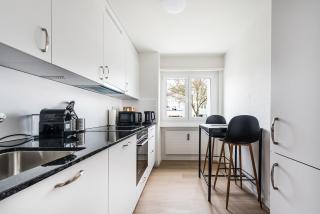 GOLD-APARTMENT 3 !Gratis Parken, Free Parking! - Frauenfeld - 1