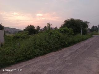 Rambo homestay hampi - 1