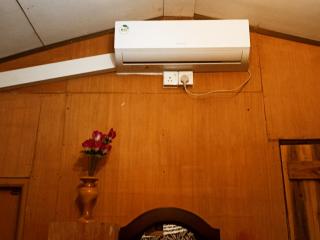 The Travel Tree Hostel - 8