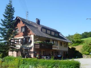 Gasthaus Zur Linde Ferienwohnungen - 5