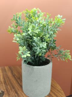 Akon Nafplio room - 3