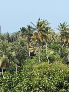 Harohi Hotel and Residence - 3