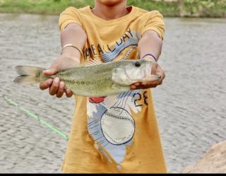 Lakefront Luxury Home in Texas Hill Country With scenic views and loaded with amenities - 6