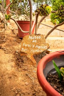 Villa LOAR Valle de Guadalupe - 5