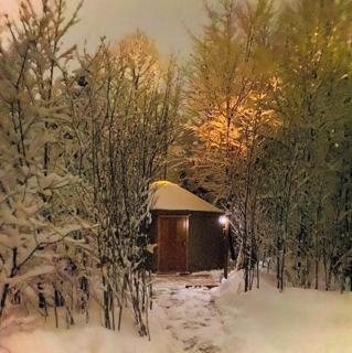 Nature Escape in Luxury Yurt Retreat with Lake & Park - 6